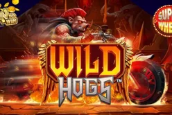 Wild Hogs