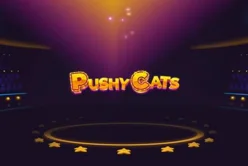 Pushy Cats