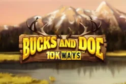 Bucks and Doe 10K WAYS™