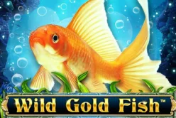 Wild Gold Fish