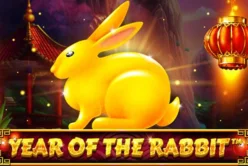 Year Of The Rabbit