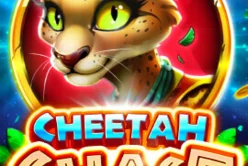 Cheetah Chase