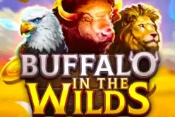 Buffalo in the Wilds