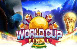 World Cup Final