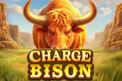 Charge Bison