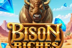 Bison Riches