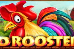 20 Roosters