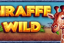 Giraffe Wild