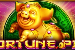 Fortune Pig
