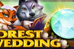 Forest Wedding