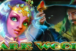 Dark Woods