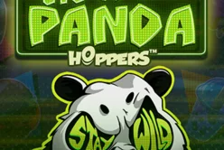 Eye Of The Panda