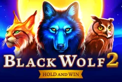 Black Wolf 2