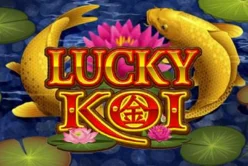 Lucky Koi
