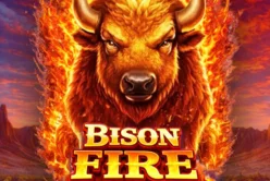 Bison Fire Charge