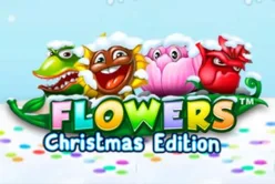 Flowers Christmas