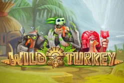 Wild Turkey