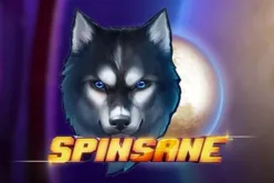 Spinsane