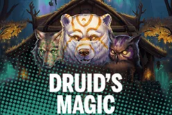 Druid S Magic