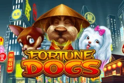 Fortune Dogs