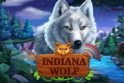 Indiana Wolf