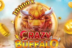 CRAZY BUFFALO
