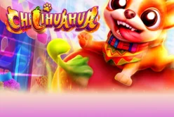 Chilihuahua