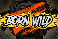 Born Wild 96