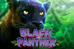 Black Panther