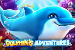 Dolphin Adventures