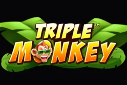 Triple Monkey