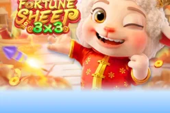 Fortune Sheep