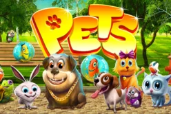 Pets