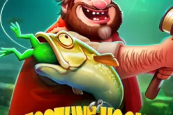 Fortune Hook Boom