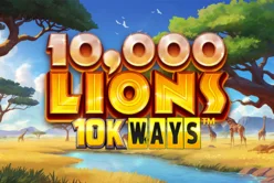 10 000 Lions 10k Ways