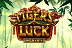 Tiger’s Luck