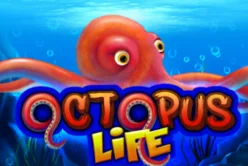 Octopus Life