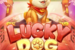 Lucky Dog