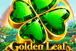 Golden Leaf Clover