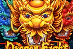 Dragon Fight