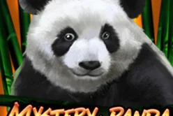 Mystery Panda