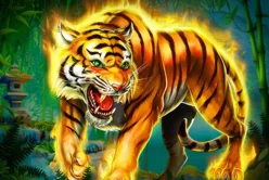 Blazing Tiger