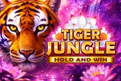 Tiger Jungle