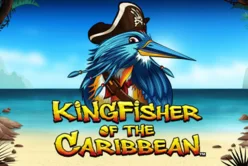 Kingfisher Of The Caribbean