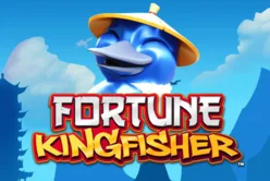 Fortune Kingfisher