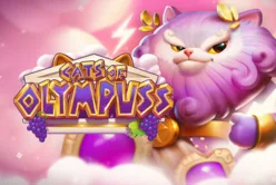 Cats of Olympuss