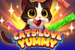 Cats Love Yummy