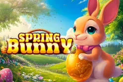 Spring Bunny