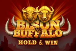 Bison Vs Buffalo