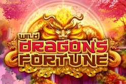 Wild Dragon S Fortune